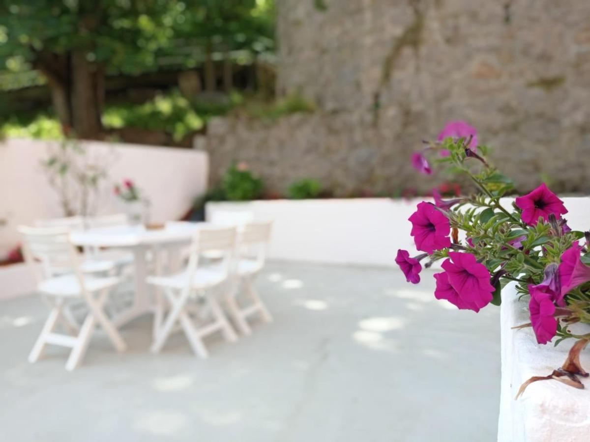 Easo Terrace Apartment Free Private Parking And Air Conditioning San Sebastian Exterior photo